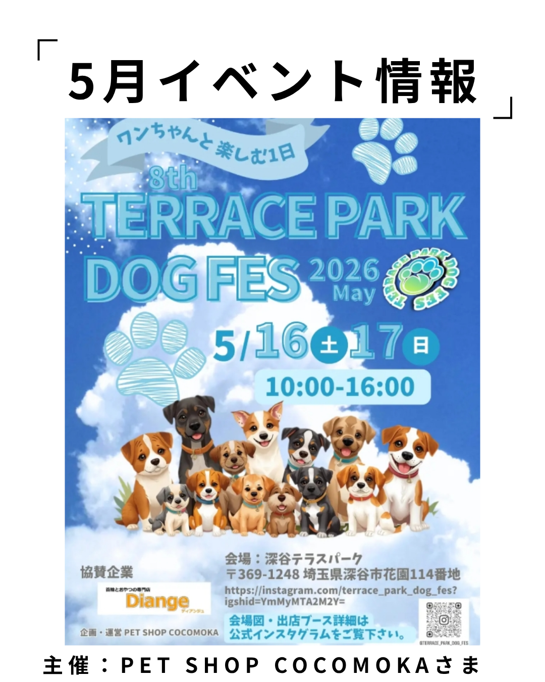 8th TERRACE PARK DOG FES | 深谷テラスパーク - 深谷とみんなをつなぐ